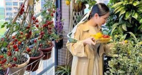 Cô gái tự tạo vườn hoa trên ban công, thu hút 100.000 lượt theo dõi và chữa lành trái tim của hàng nghìn người