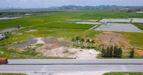 Dự án 2.300 tỷ của FLC ở Thanh Hóa dang dở, xin sửa kênh mương để làm nông