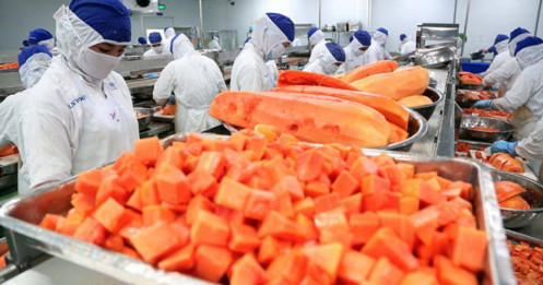 Xuất khẩu rau quả chế biến lần đầu vượt tỷ USD