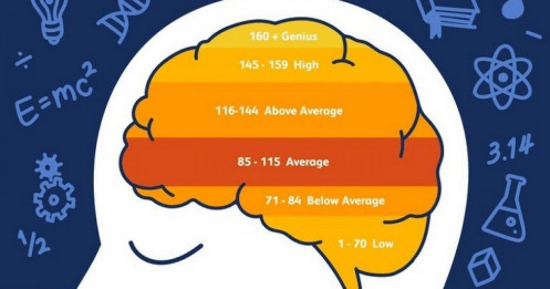 Có IQ cao chưa chắc đã thành công, làm cách nào để bồi dưỡng trí tuệ?
