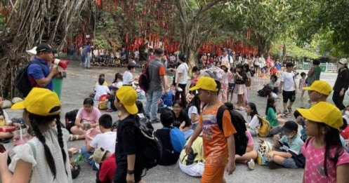 Giới trẻ đổ xô check-in cây Ước Nguyện hơn 300 tuổi ở Sài Gòn