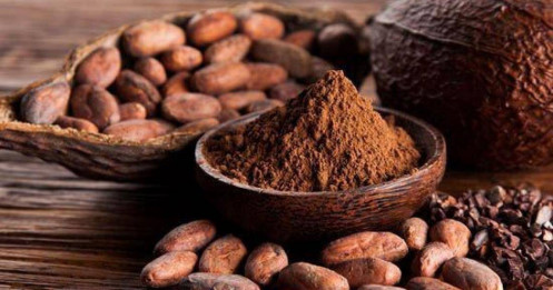 Giá Cacao tăng mạnh tiến tới mốc cao nhất trong gần 46 năm