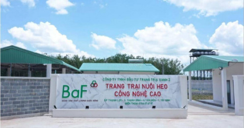 BAF sắp mua thêm một công ty chăn nuôi tại Gia Lai, chào bán ESOP bằng 30% thị giá