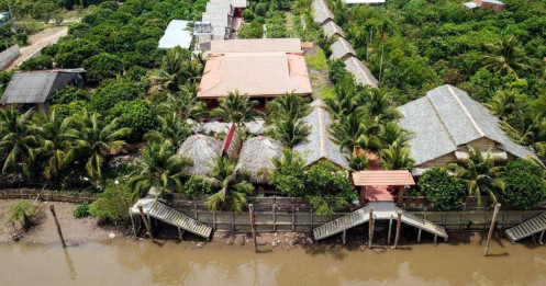 Ngắm ngôi nhà độc sắc từ cây dừa ở Vĩnh Long