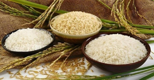 Làm gì để gạo Việt luôn thắng thế?