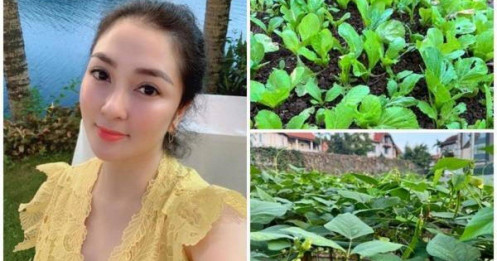 Biệt thự ngập cây trái của 'Hoa hậu bí ẩn nhất Việt Nam'