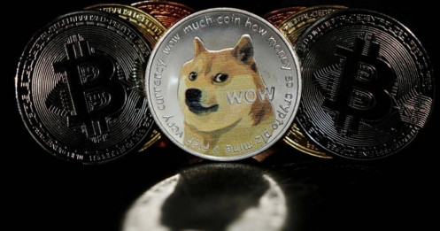 Meme coin nổi sóng theo Bitcoin