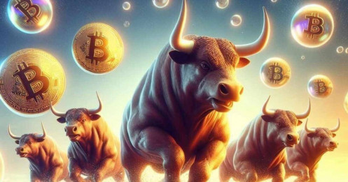 Scott Melker: Bitcoin và thị trường coin chỉ mới bắt đầu một đợt tăng giá lớn