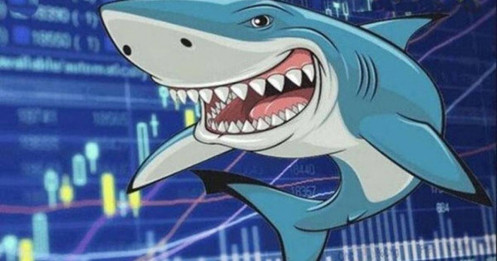 Cách cá mập kiểm soát thị trường