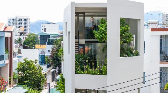 Khám phá ngôi nhà có lối kiến trúc xanh ấn tượng ở Nha Trang