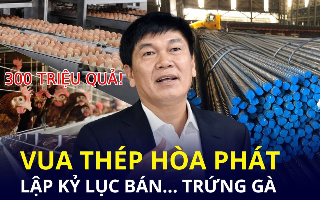 “Vua thép” lập kỷ lục bán… trứng gà, đã xuất khẩu sang Lào, Campuchia và tiếp đến sẽ mở rộng sang thị trường miền Nam