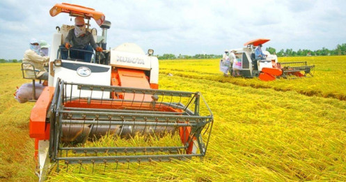 Tập đoàn Lộc Trời (LTG): Vướng lùm xùm nợ tiền nông dân, lợi nhuận sau kiểm toán giảm 94%