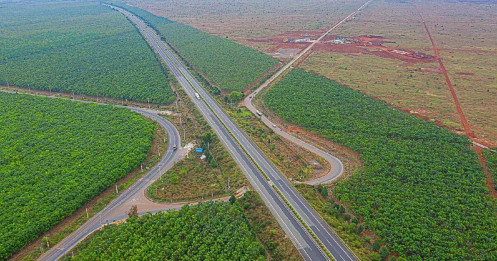 Cao su Việt Nam (GVR): Đã có quyết định chuyển đổi 25.000 ha đất cao su sang đất công nghiệp