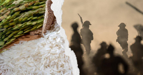 Chiến tranh và ngành gạo
