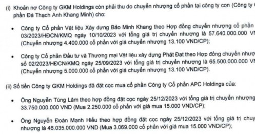GKM Holdings của Chủ tịch Đặng Việt Lê chia cổ tức "quá tay" khiến lợi nhuận lũy kế bị âm