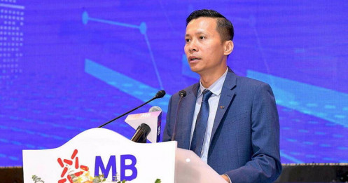 CEO MB: Khoản vay của Novaland, Trung Nam không đáng lo