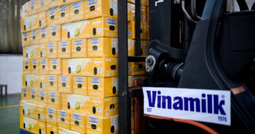 Đâu là động lực cho mảng xuất khẩu của Vinamilk 2024 đang trên đà đi lên