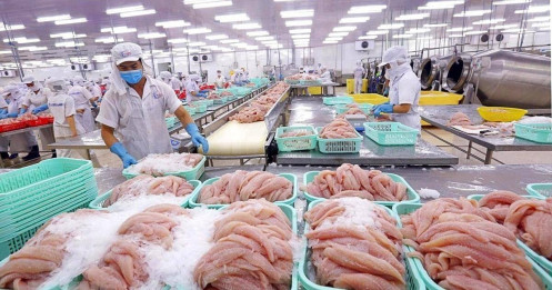 Thủy sản Vĩnh Hoàn (VHC): Xuất khẩu cá tra khởi sắc, doanh thu quý 1 tăng 25%