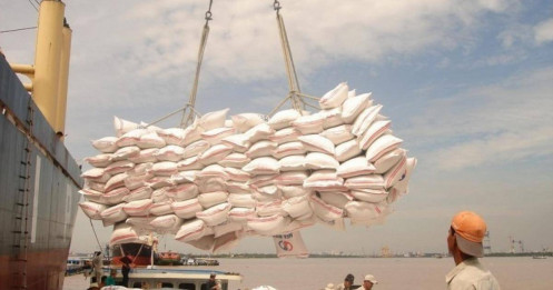 Trở lại đường đua, Vinafood 2 xuất khẩu hàng triệu tấn gạo mỗi năm