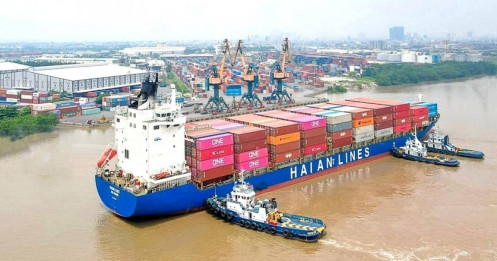 Xếp dỡ Hải An (HAH): Hợp tác đầu tư tàu container mới, tăng cường các tuyến nội địa