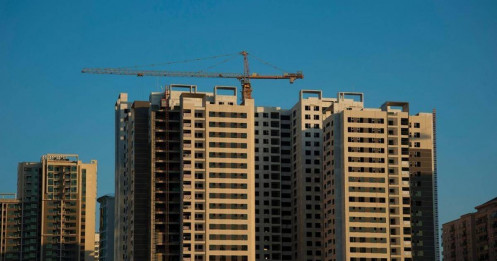 Ngóng 3 sắc luật có hiệu lực sớm