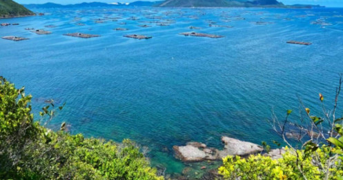 Phát hiện hòn đảo được ví như "kiệt tác thiên nhiên" ở Phú Yên, du khách không cần tàu mà có thể đi bộ ra