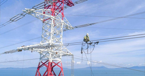 Tập đoàn PC1: Giá trị ký mới mảng xây lắp điện tăng 174%