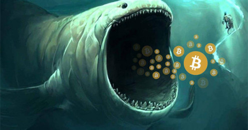 Các 'cá mập' đang nắm lượng Bitcoin kỷ lục