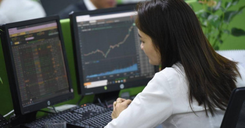Tại sao nhà đầu tư ở Việt Nam hay sợ thị trường sập, hay có thói quen bán tháo cổ phiếu?