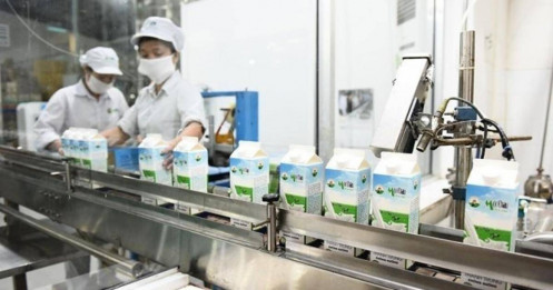 Công ty sữa lâu đời nhất Việt Nam sắp niêm yết trên HoSE