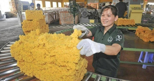 Hưởng lợi từ giá cao su neo cao, Cao Su Đồng Phú (PDR) chờ thêm “tin vui” từ mảng khu công nghiệp