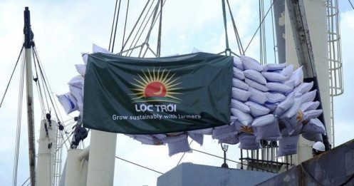 Lộc Trời trúng thầu 100.000 tấn gạo xuất khẩu