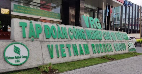 Tập đoàn Công nghiệp cao su Việt Nam không liên quan đến Casumina