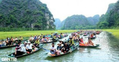 Hàng vạn người đổ về Ninh Bình ngắm cánh đồng lúa đẹp nhất Việt Nam