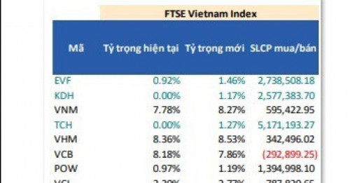 BSI dự báo loạt cổ phiếu "hot"  FRT, TCH, CTR... trong tầm ngắm của 2 quỹ ETF