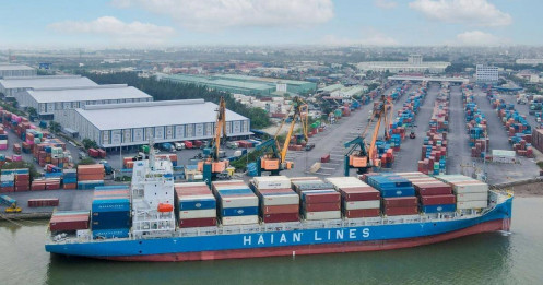 HAH, GMD và PVT: Triển vọng của cổ phiếu ngành cảng và vận tải biển