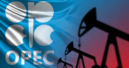 OPEC+ chuyển đổi chiến lược để bảo vệ thị phần