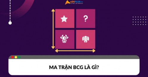 Ma trận BCG là gì? Cách phân tích ma trận BCG hiệu quả