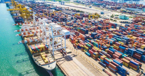Một số công ty Việt hưởng lợi từ tắc nghẽn cảng biển nghiêm trọng tại Singapore