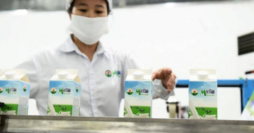 Cổ phiếu Mộc Châu Milk sắp chào sàn HoSE với giá 42.800 đồng/cp