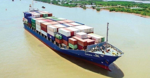 Cổ phiếu vận tải biển bật tăng theo giá cước