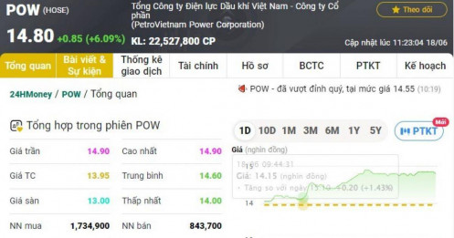 Cổ phiếu doanh nghiệp điện lớn nhất sàn chứng khoán Việt "có biến"