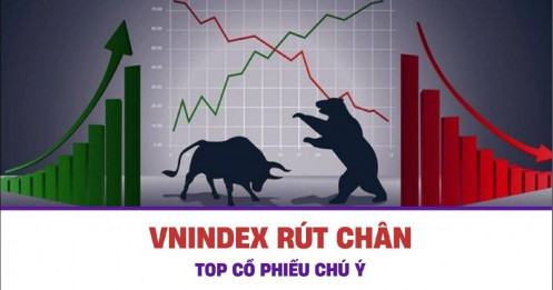 Vnindex rút chân - Top cổ phiếu chú ý