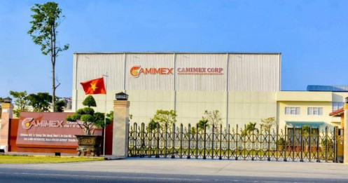 CMX – ông vua tôm Việt sắp vào sóng tăng 40%.