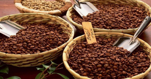 Dự báo của USDA về triển vọng thị trường cà phê toàn cầu niên vụ tới