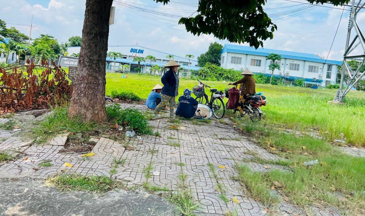 Đất nền tỉnh: Cơ hội đầu tư hay chỉ là cuộc chơi “sai thì bỏ, đúng thì lời”?