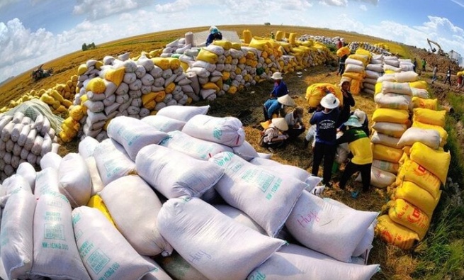 Thế giới thiếu 7 triệu tấn gạo: Kỳ tích xuất khẩu gạo Việt Nam sẽ lặp lại?
