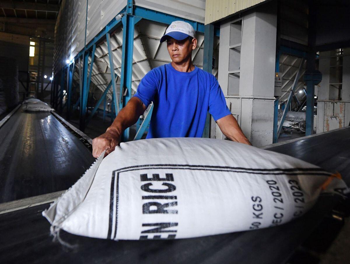 Doanh nghiệp bán ‘đại hạ giá’, gạo Việt lao dốc về mức thấp nhất thế giới