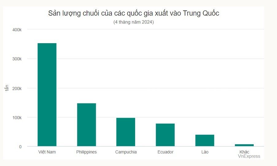 Việt Nam vượt Philippines dẫn đầu về xuất khẩu chuối sang Trung Quốc