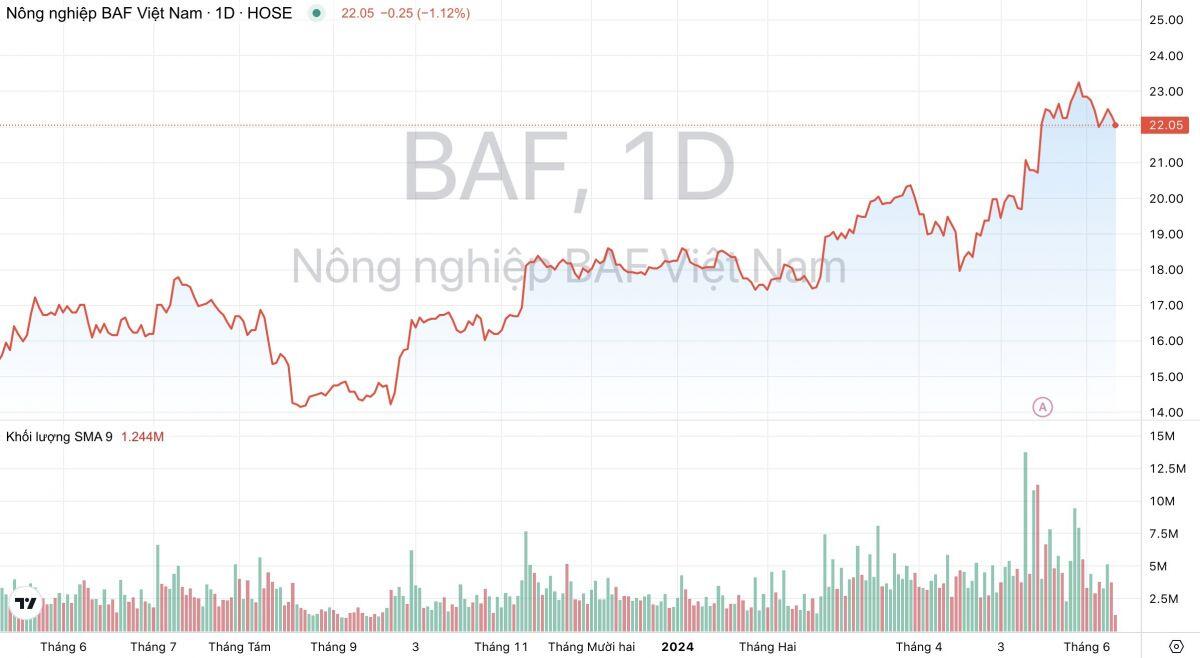 Kỳ vọng giá heo tăng cao, Siba Holdings muốn mua gần 28 triệu cổ phiếu của BaF Việt Nam